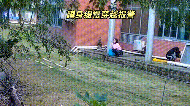用數(shù)據(jù)說話，風(fēng)雨小動物不誤報！(圖9)