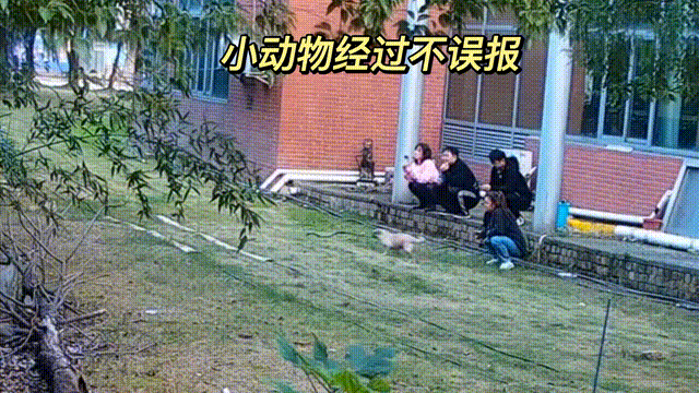 用數(shù)據(jù)說話，風(fēng)雨小動物不誤報！(圖13)