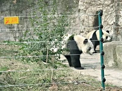 五一出游高峰不必慌，疫情防控神器來幫忙！(圖13)